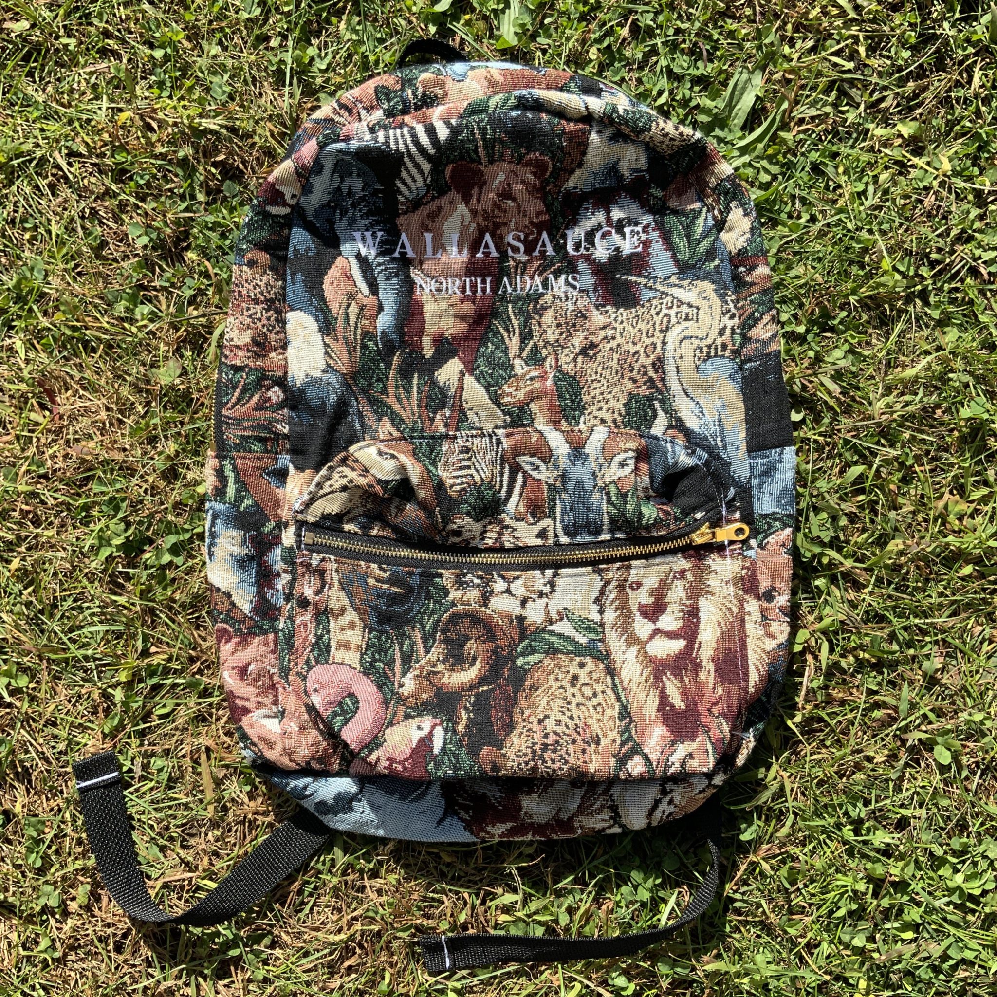 Safari brisk 40l top backpack